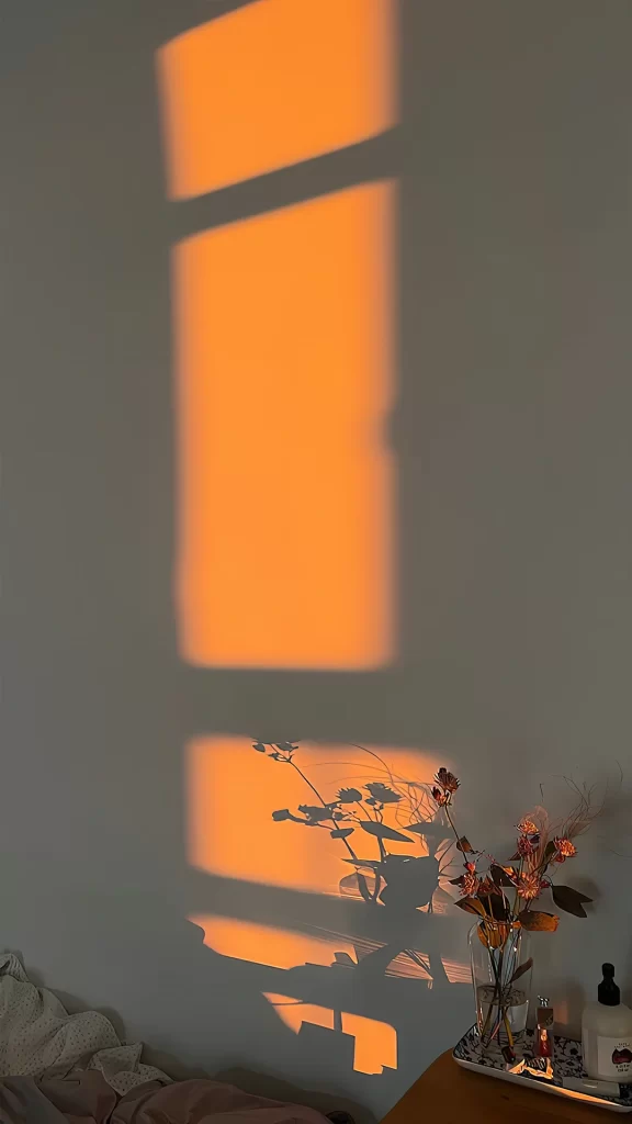 Sunlight Shadow Flowers Vase Wall Room