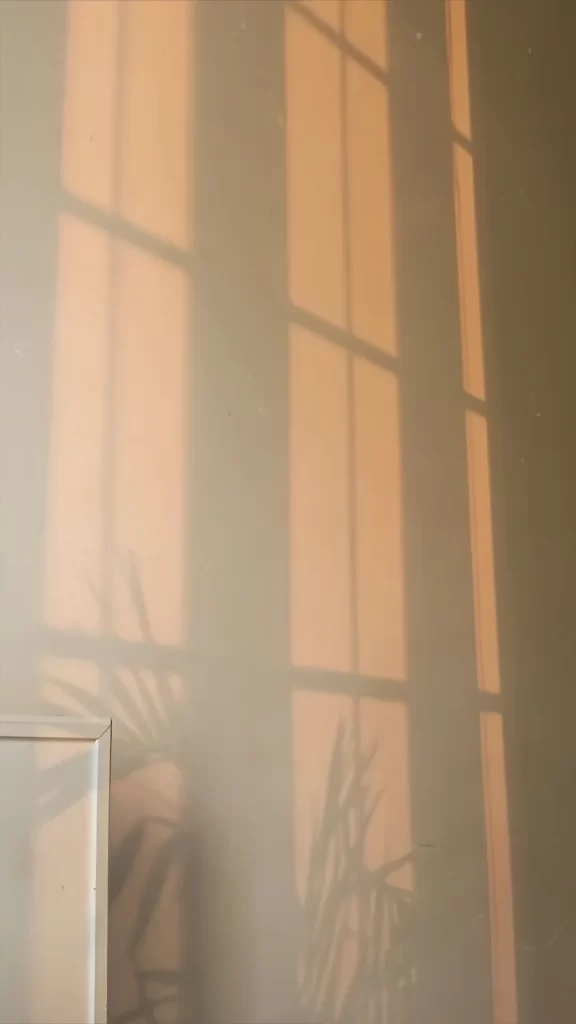 Sunlight Shadow Wall Window Plant Warm