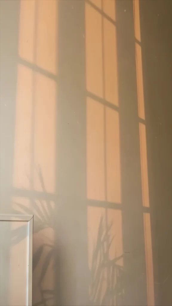 Sunlight Shadow Window Wall Plant Warm