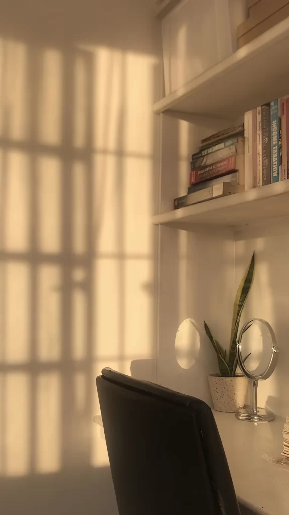Sunlight Shadows Books Plant Mirror Chair