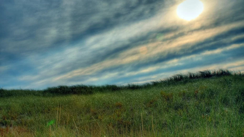 Sunlight clouds grass landscape sky nature