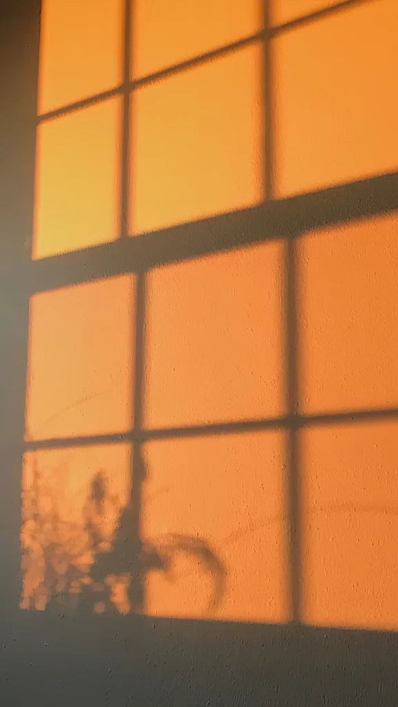 Sunset Shadow Window Orange Tranquil Nature