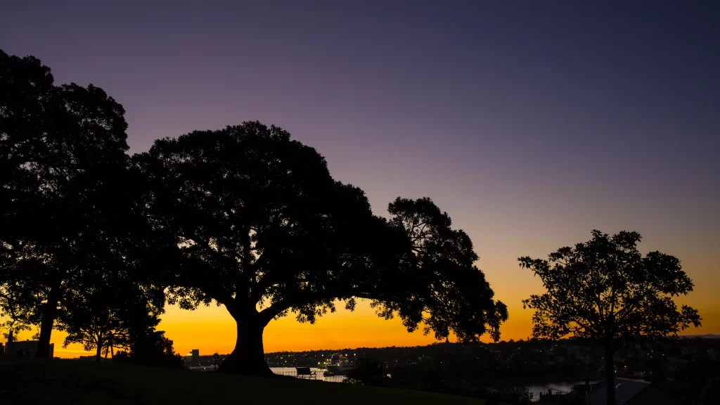 Sunset Silhouette Trees Cityscape River Twilight