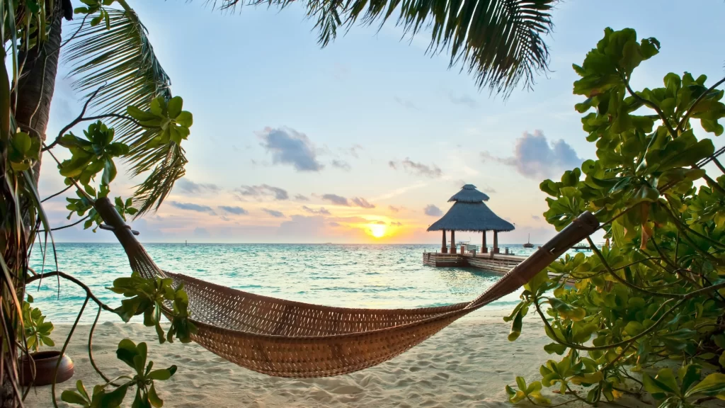 Sunset beach hammock ocean palm trees gazebo