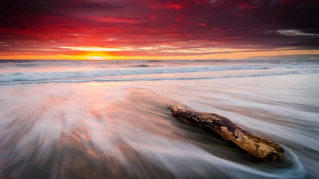 Sunset Beach Ocean Waves Clouds Driftwood
