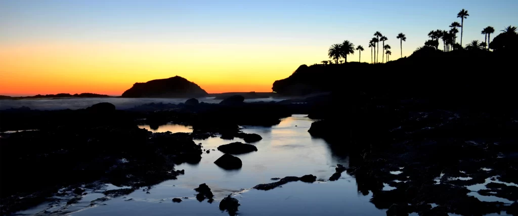 Sunset Beach Rocks Water Palm Trees Sky
