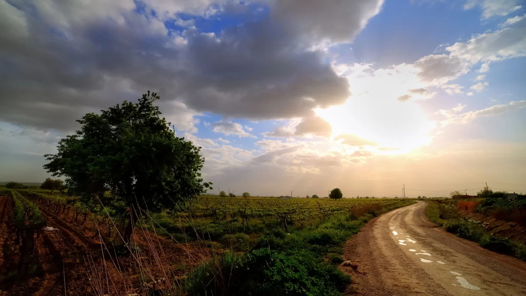 Sunset clouds dirt road greenery rural landscape