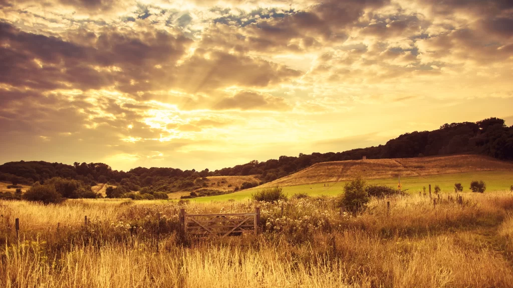 Sunset clouds field grass trees sky Landscape