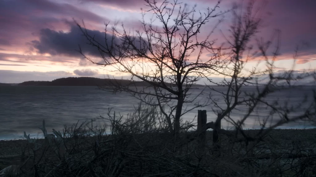 Sunset clouds tree water landscape sky