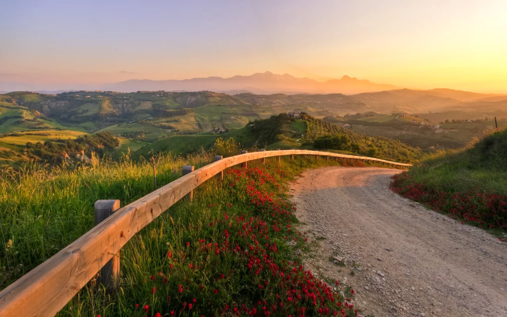 Sunset countryside gravel road wooden fence green hills red flowers