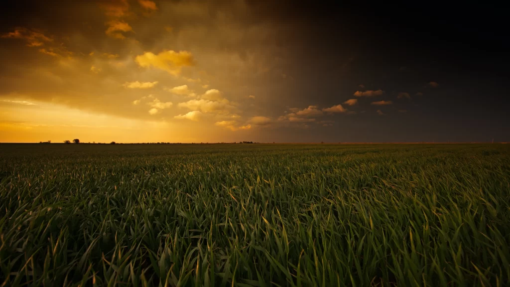 Sunset Field Clouds Sky Nature Tranquility