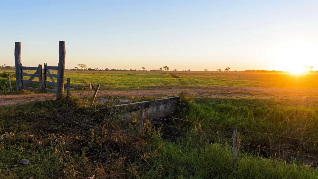Sunset field gate grass sky rural
