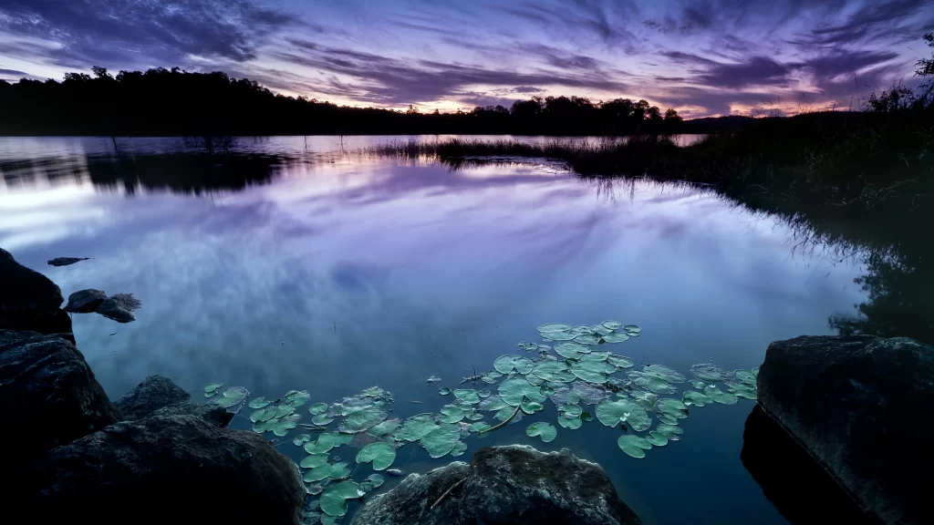 Sunset lake reflection clouds nature tranquility