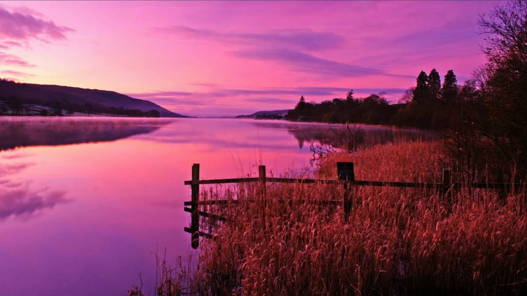 Sunset lake reflection reeds fence sky