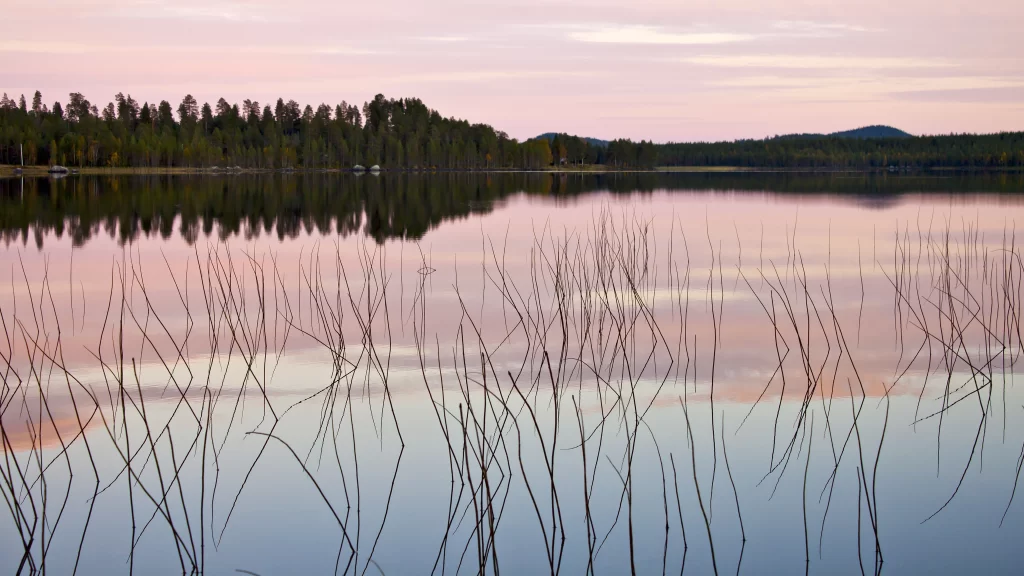 Sunset lake reflection trees sky calm