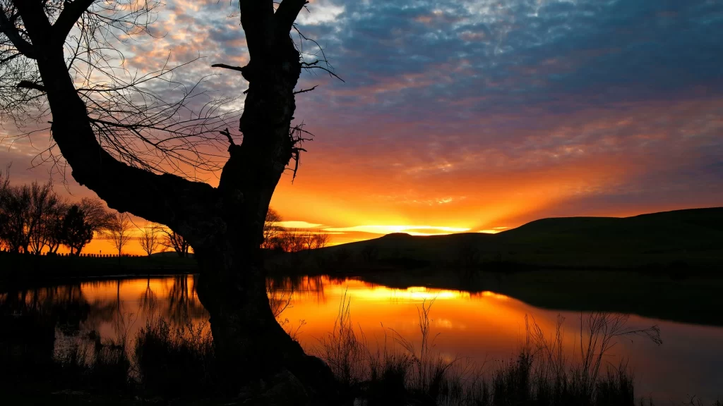 Sunset lake tree reflection sky clouds