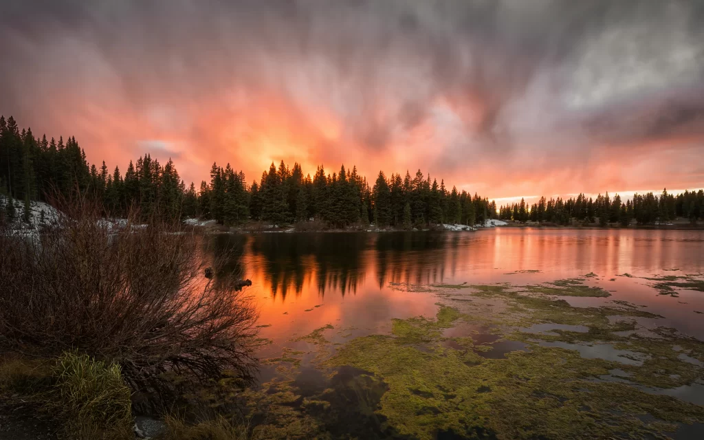 Sunset Lake Trees Reflection Clouds Colors
