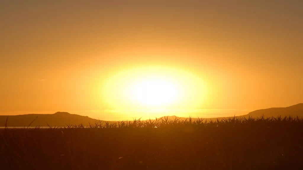 Sunset landscape grass hills sky warm colors