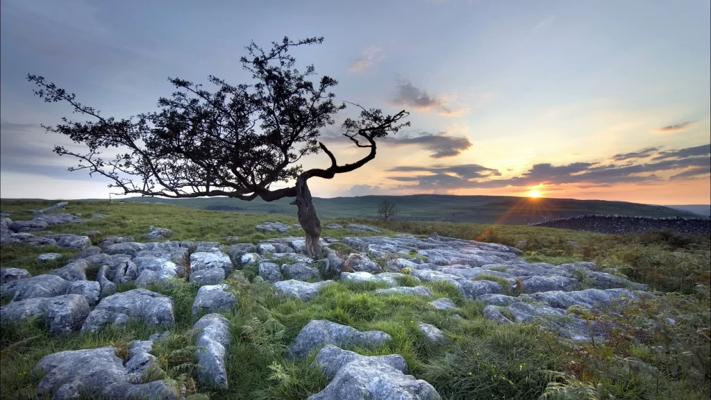 Sunset landscape tree rocks sky clouds