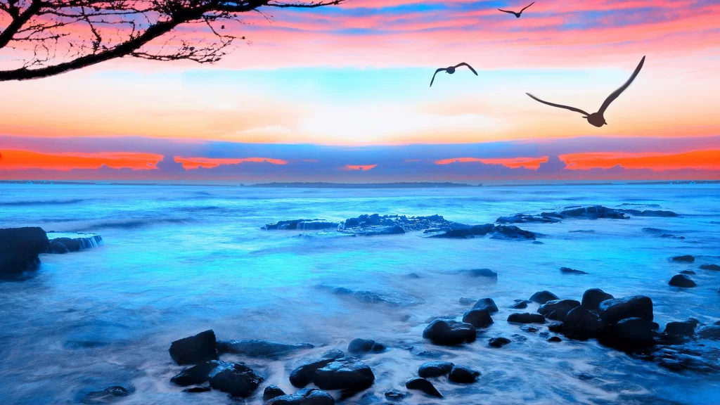 Sunset ocean birds rocks sky clouds