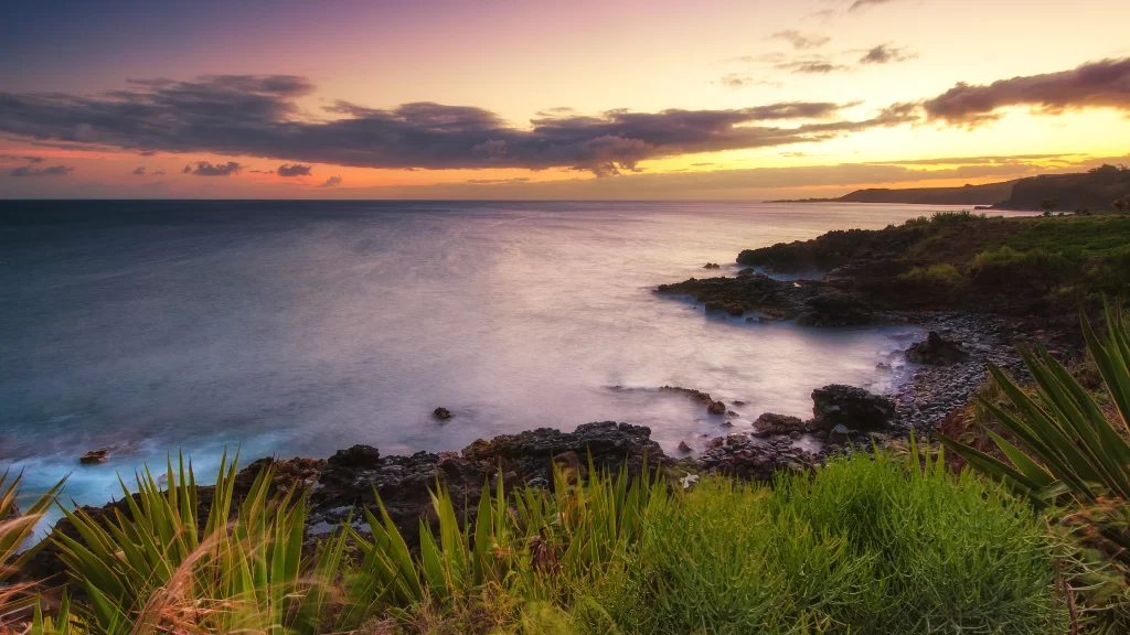 Sunset ocean coastline rocks vegetation clouds sky horizon