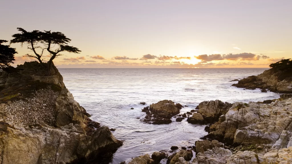 Sunset ocean rocks tree sky clouds