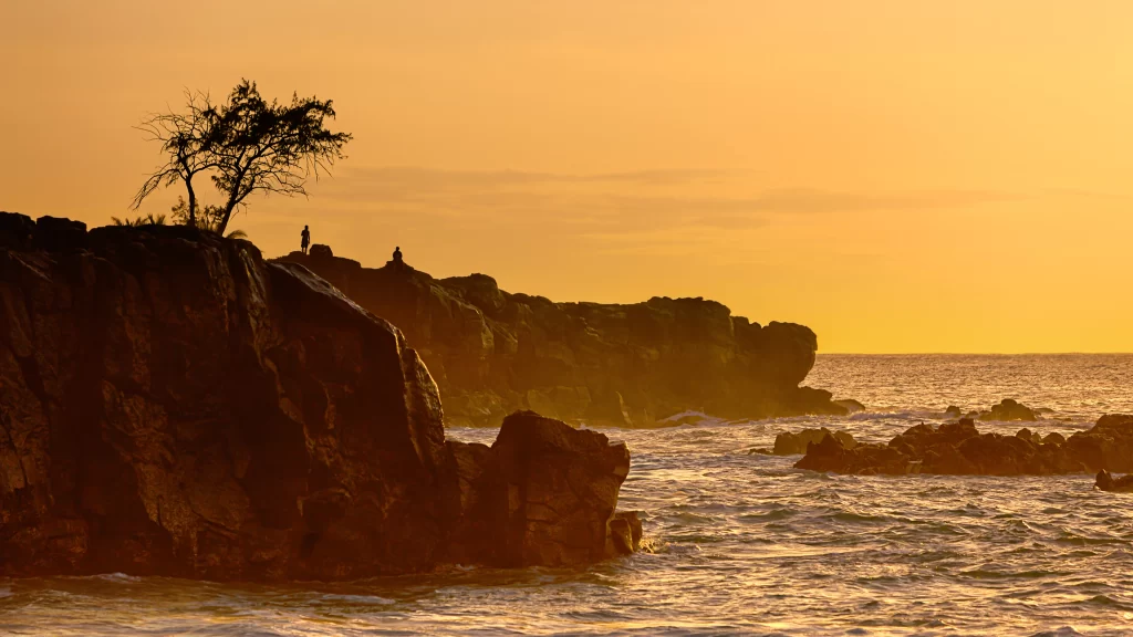 Sunset ocean rocks tree sky waves