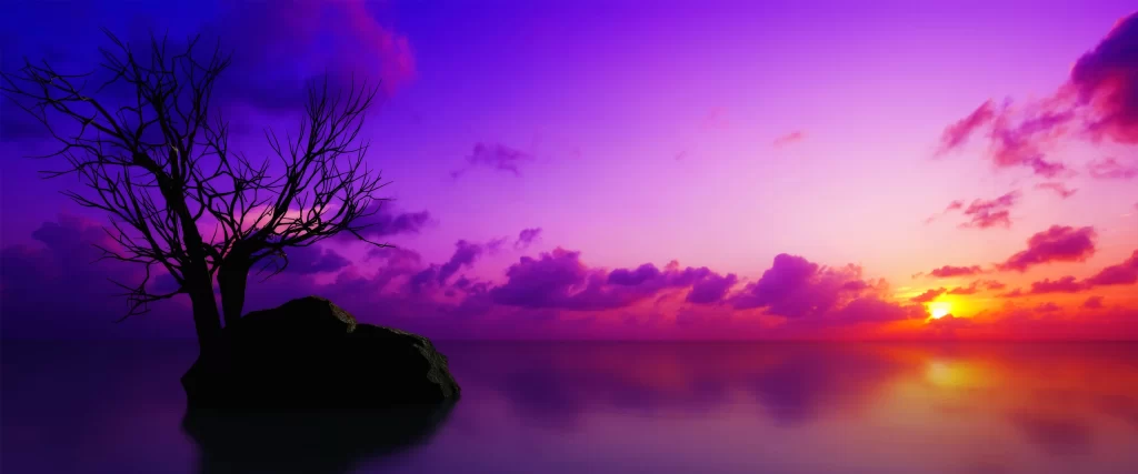 Sunset Purple Sky Tree Calm Water Clouds Reflection