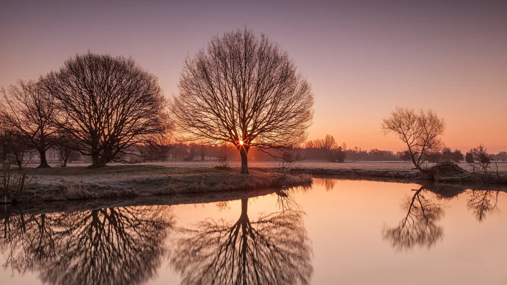 Sunset reflection trees water sky tranquility