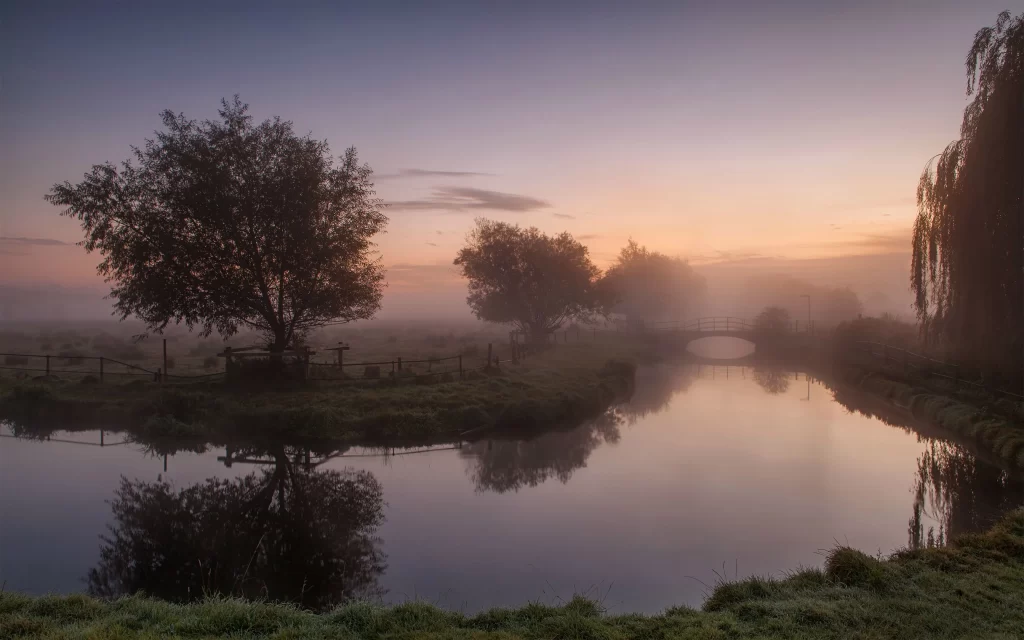 Sunset river trees reflection mist tranquility