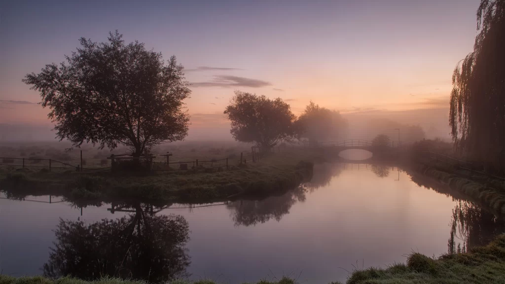 Sunset river trees reflection mist tranquility
