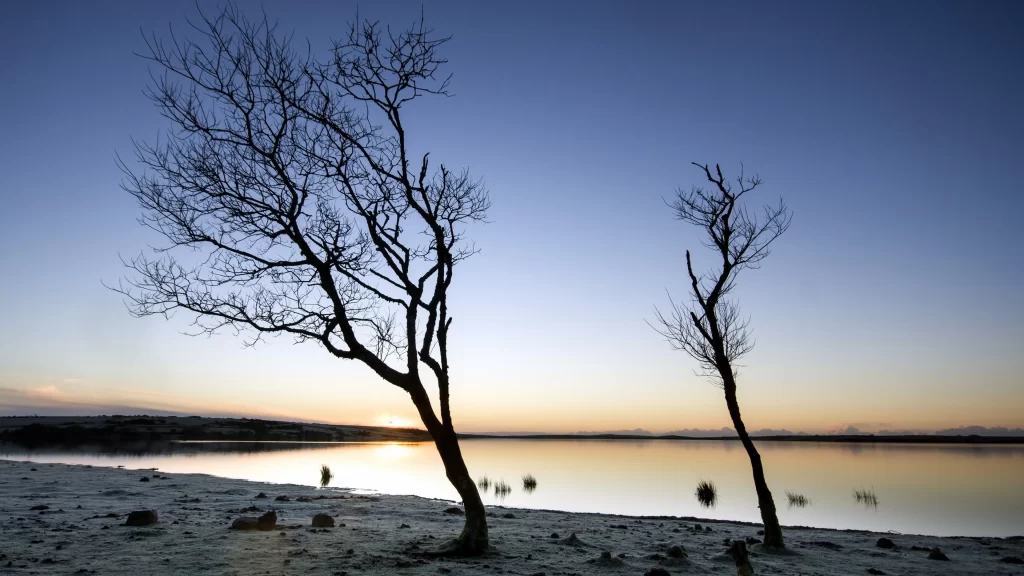 Sunset trees lake reflection sky tranquil