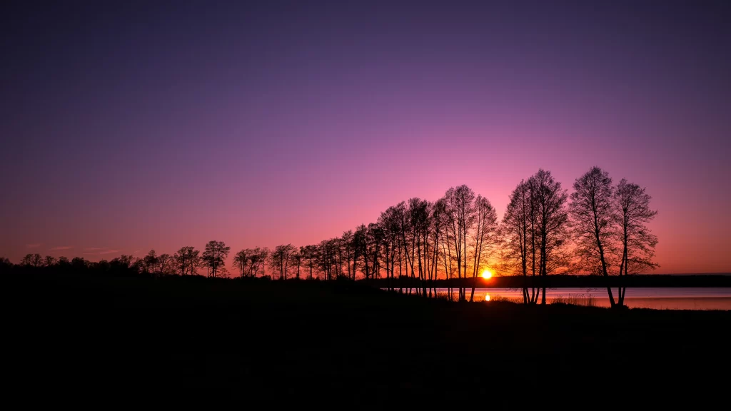 Sunset trees lake sky silhouette colors