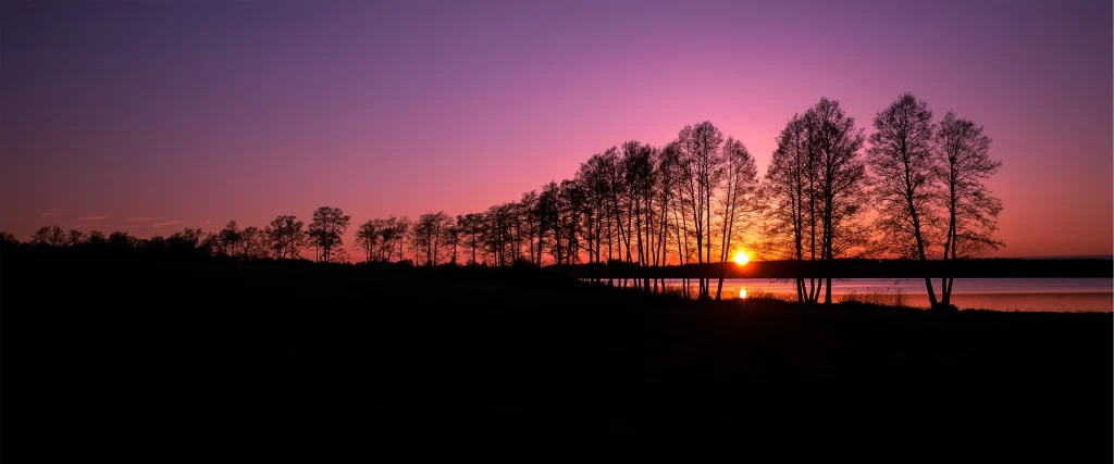 Sunset Trees Silhouette Sky Water Reflection