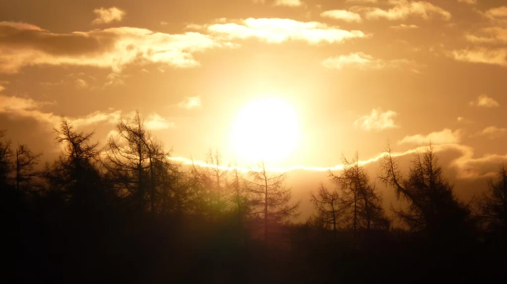 Sunset trees sky clouds landscape nature