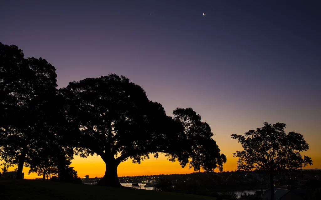 Sunset trees sky moon landscape twilight
