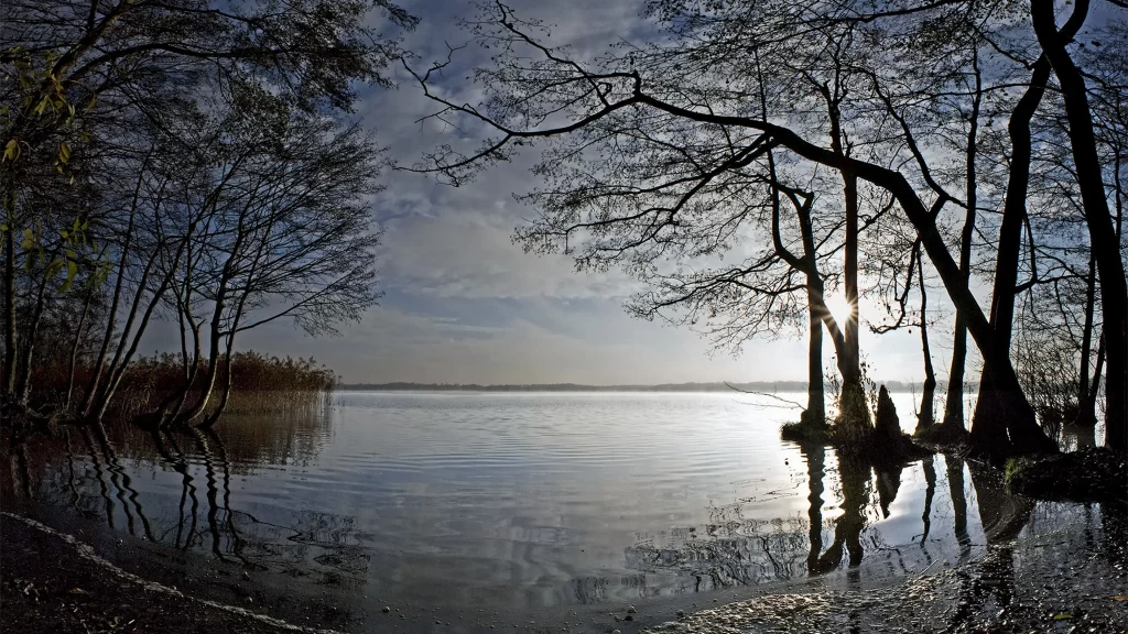 Sunset trees water reflection sky clouds