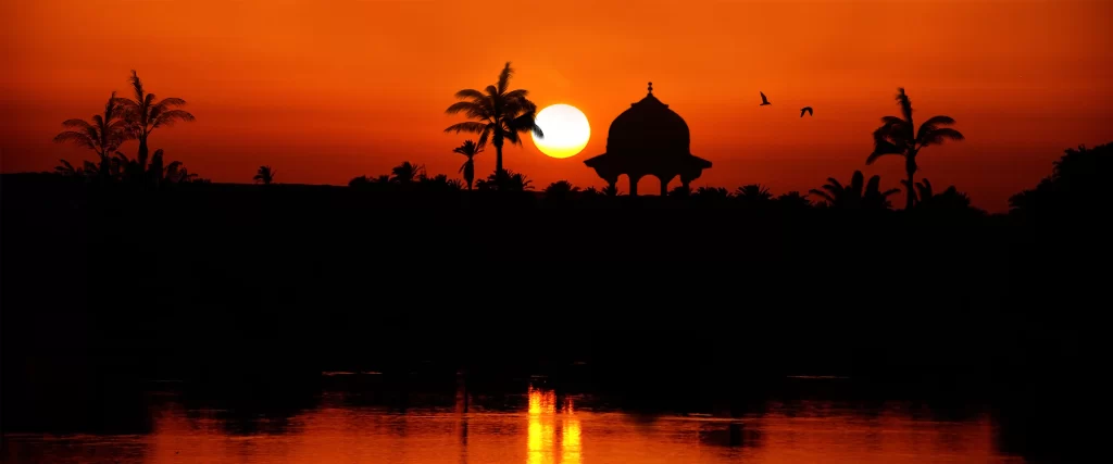 Sunset Water Palm Trees Gazebo Birds Reflection