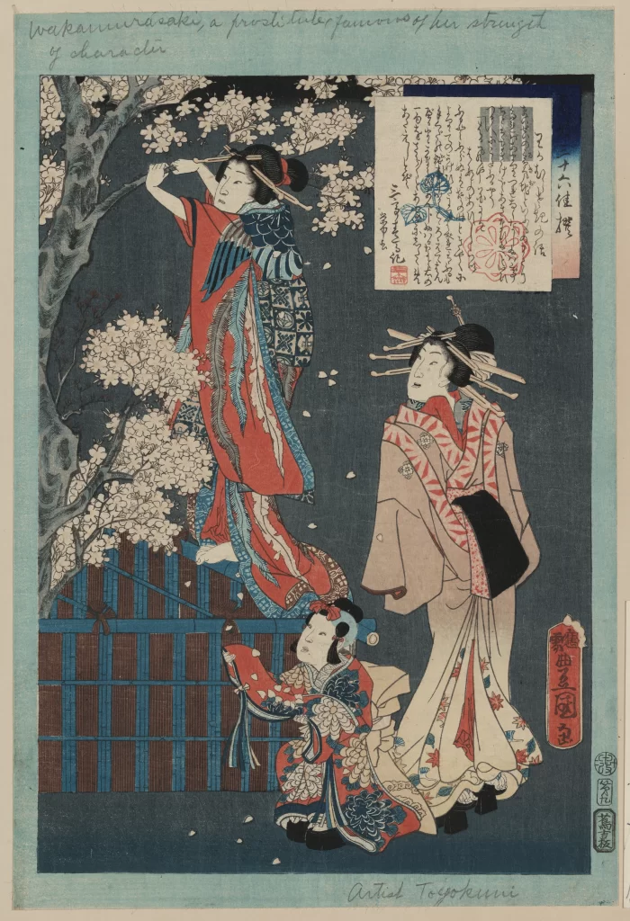 Traditional Japanese Art Cherry Blossoms Kimono Women Ukiyo-e