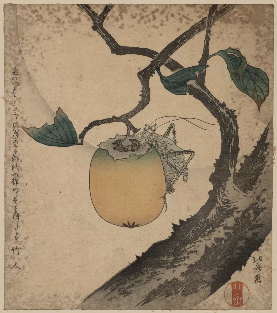 Traditional Japanese Art Nature Insect Fruit Branch