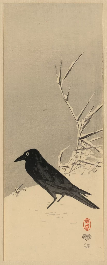 Crow Black White Snow Branches Winter