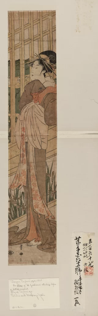 Woman Kimono Red White Green Black