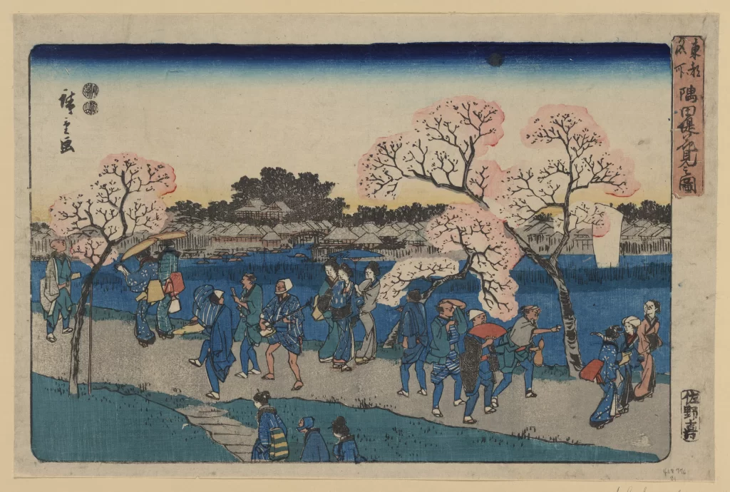 Traditional Japanese Cherry Blossoms Edo Period Woodblock Print Cultural Scene