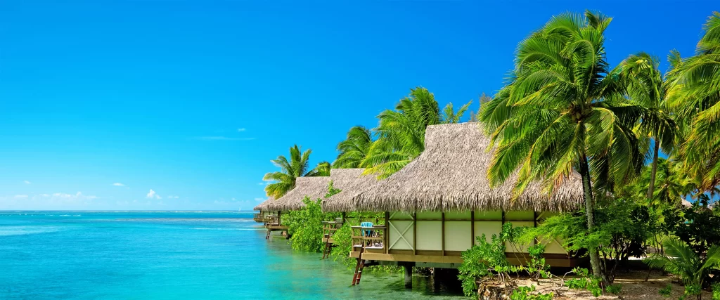 Tropical Beach Palm Trees Overwater Bungalows Clear Blue Water Sunny Sky