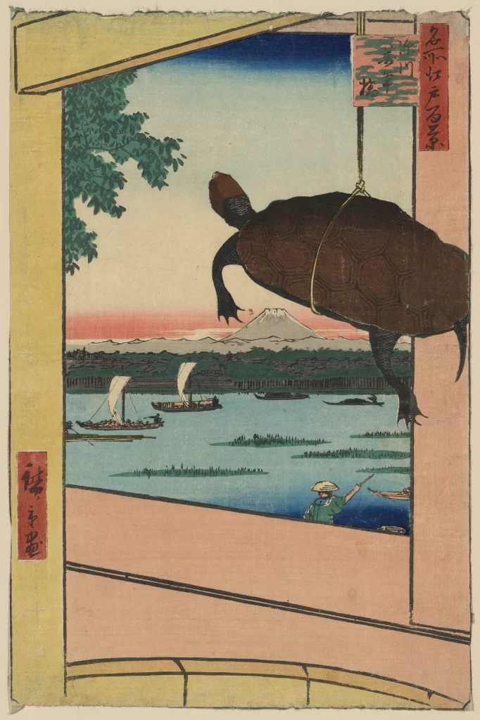 Turtle Mount Fuji River Boats Landscape