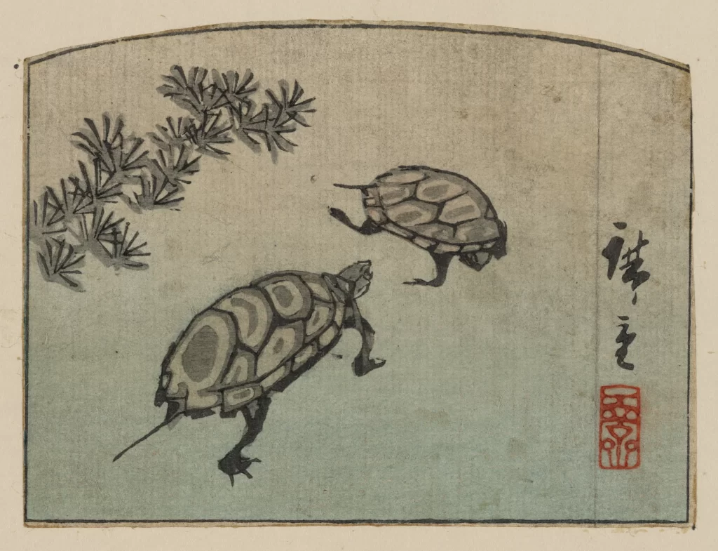 Turtles Traditional Art Nature Ink Brush Red Seal