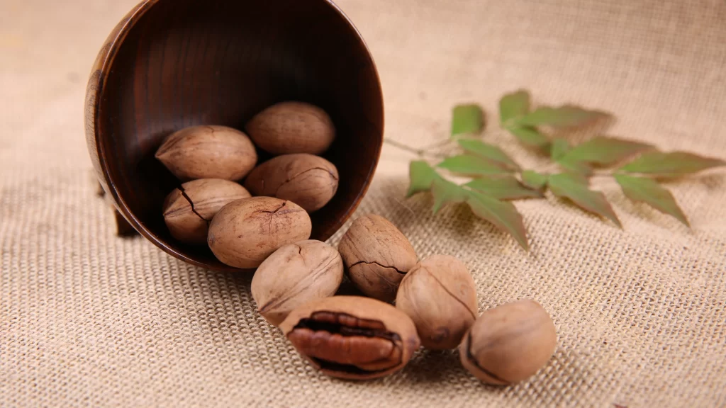 Walnuts Shell Natural Rustic Organic
