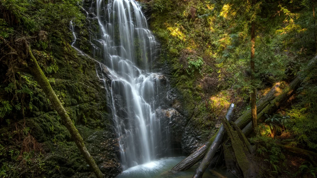 Waterfall forest nature greenery sunlight tranquility