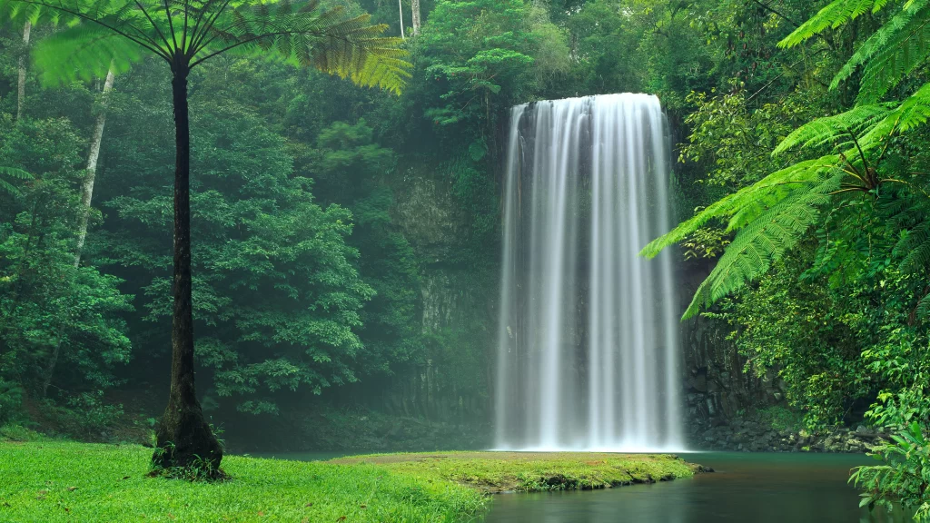 Waterfall Lush Greenery Serene Nature Tranquility Misty