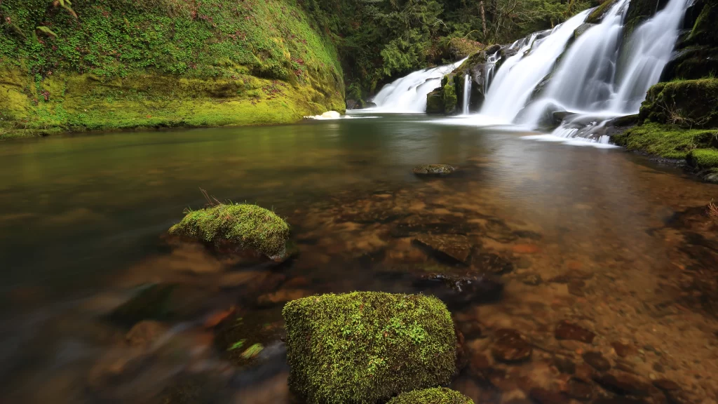 Waterfall stream moss rocks nature tranquility